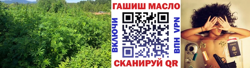 ТГК концентрат mega онион Углич